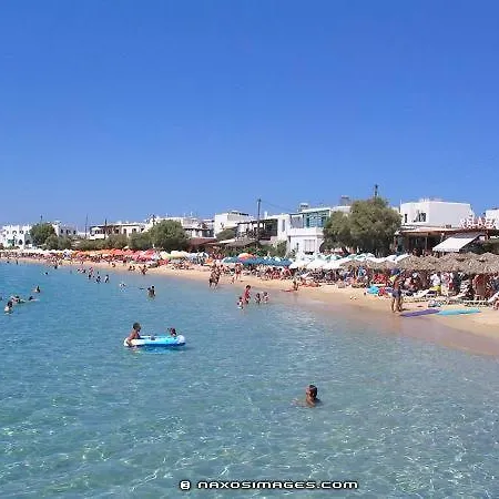 Dolphin Studios Agia Anna  Exterior foto